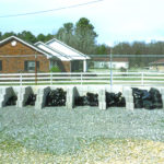 Septic Tanks & Field Lines